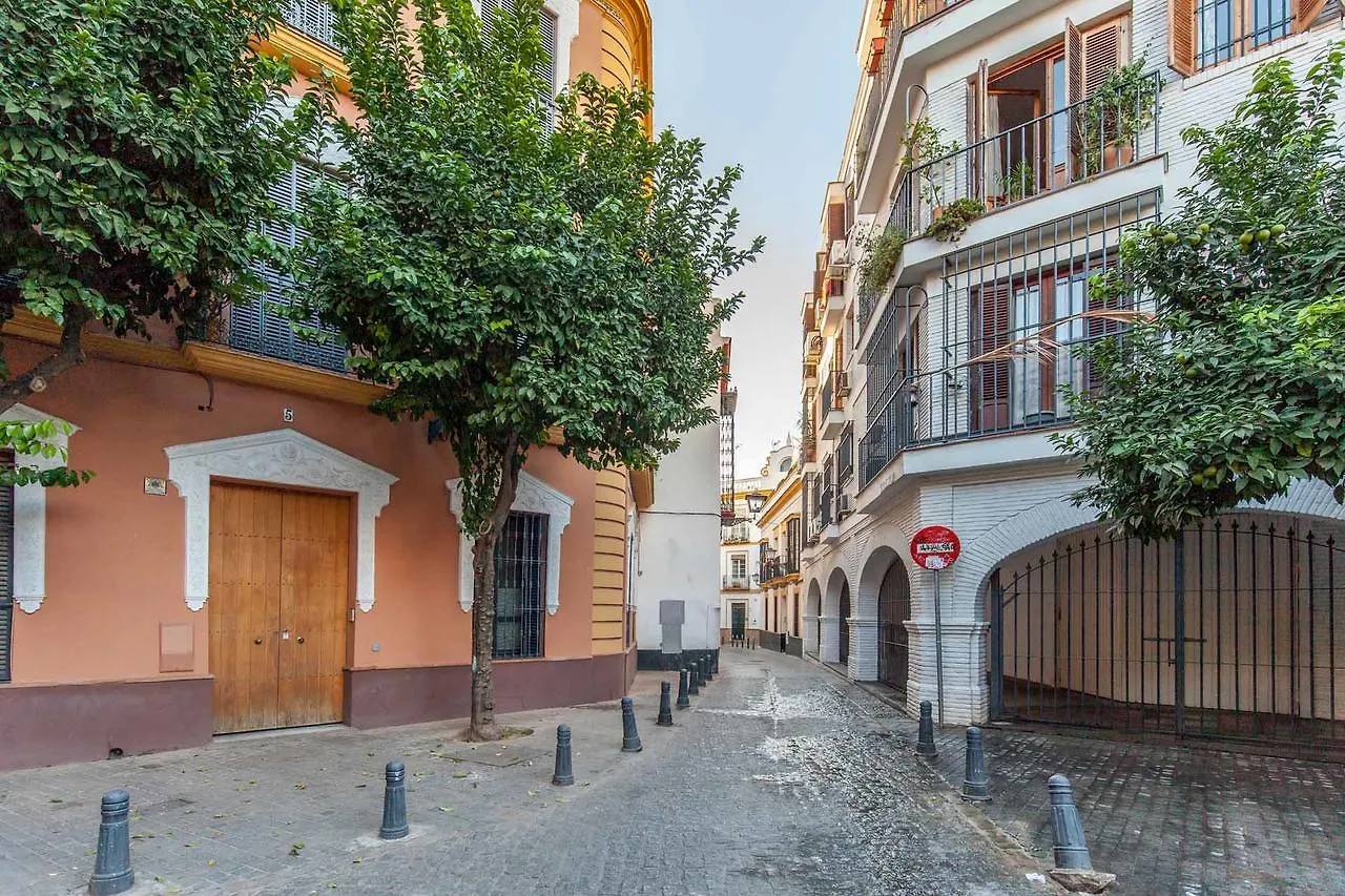 Viriato Centro Sevilla 塞维利亚